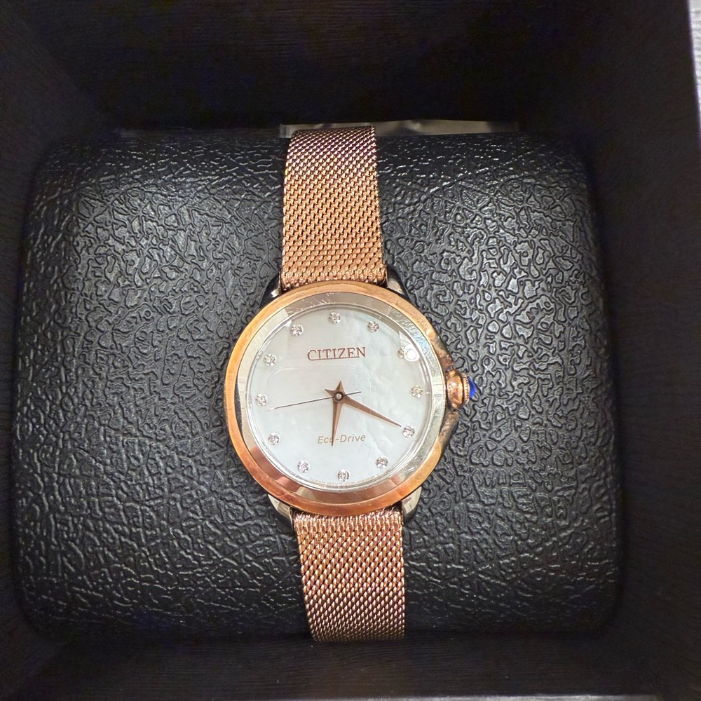 Citizen Women's Rose Gold Mesh Watch